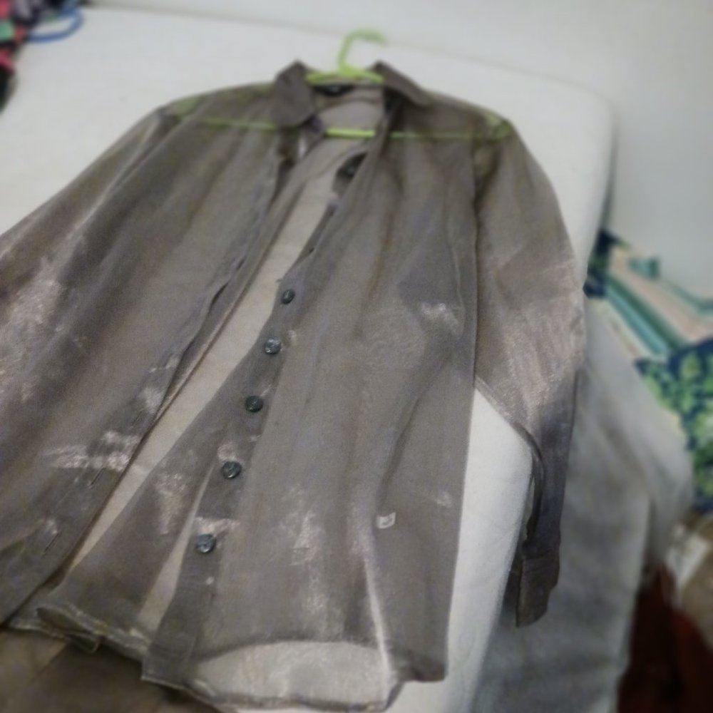 Paris shiny sheer blouse